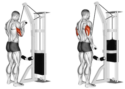 Tricep Pushdown